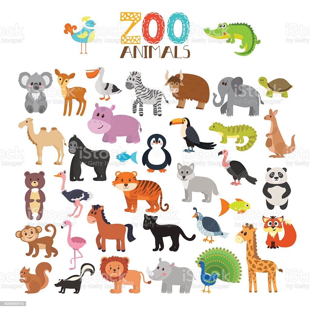 Animals and Prepositions