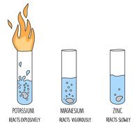 alkanes cycloalkanes and functional groups - Year 6 - Quizizz