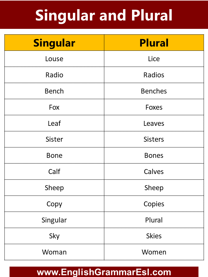Singular Nouns - Grade 12 - Quizizz