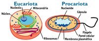 Biología - Grado 3 - Quizizz