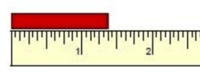 Measuring in Centimeters Flashcards - Quizizz