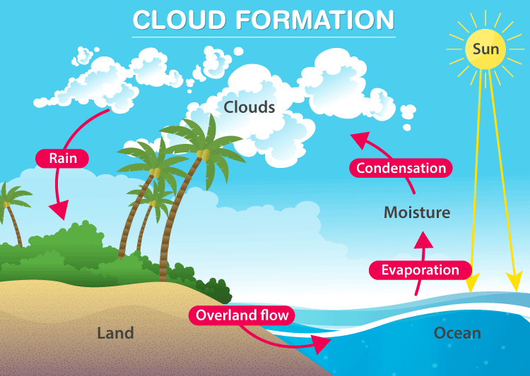 elements-of-weather-and-climate-geography-quiz-quizizz