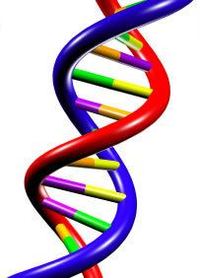 genetic variation - Year 5 - Quizizz