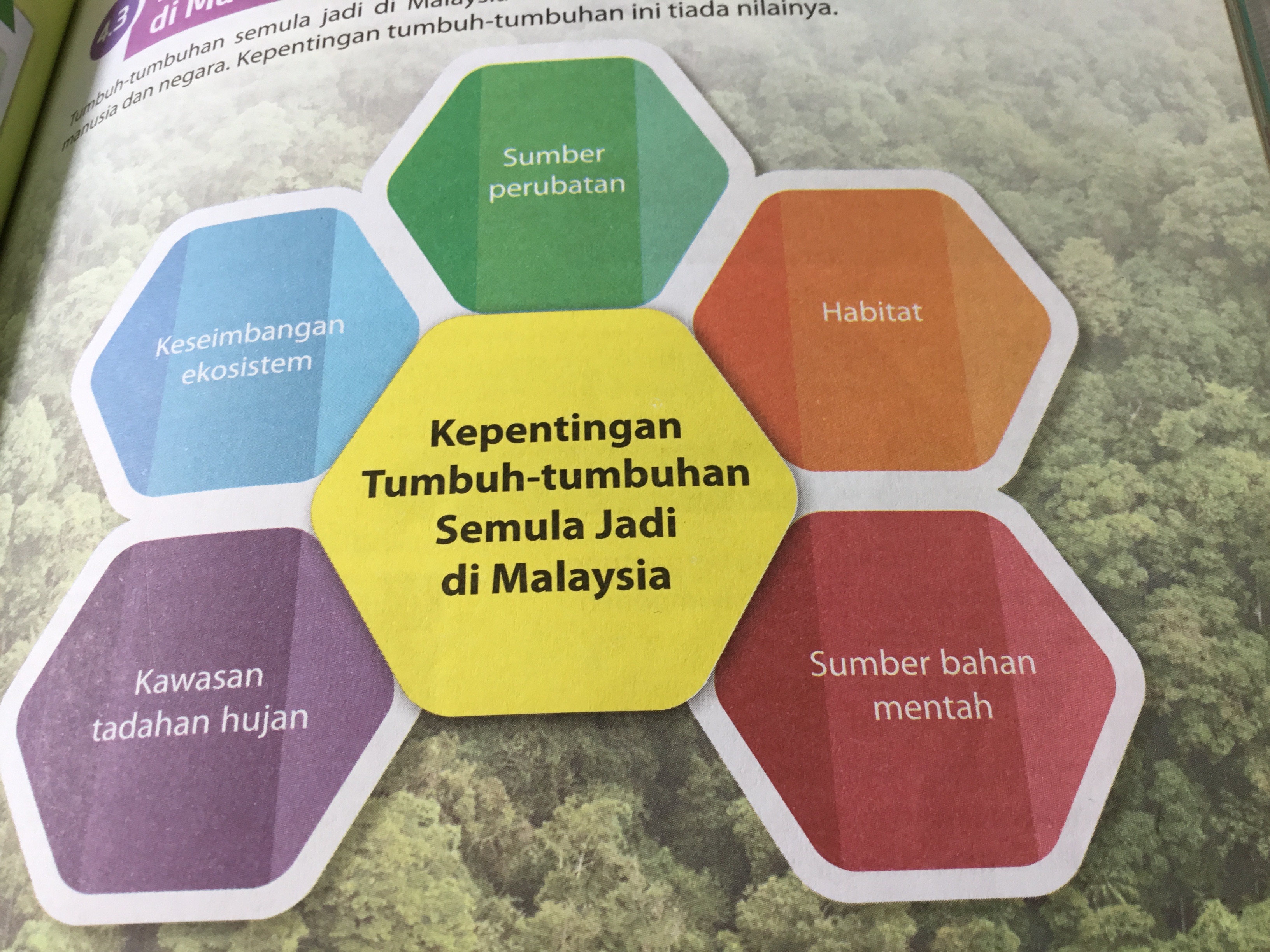 4 2 Kepetingan Tumbuh Tumbuhan Semula Jadi Di Malaysia Quizizz