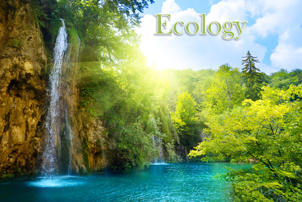 ecology - Year 7 - Quizizz