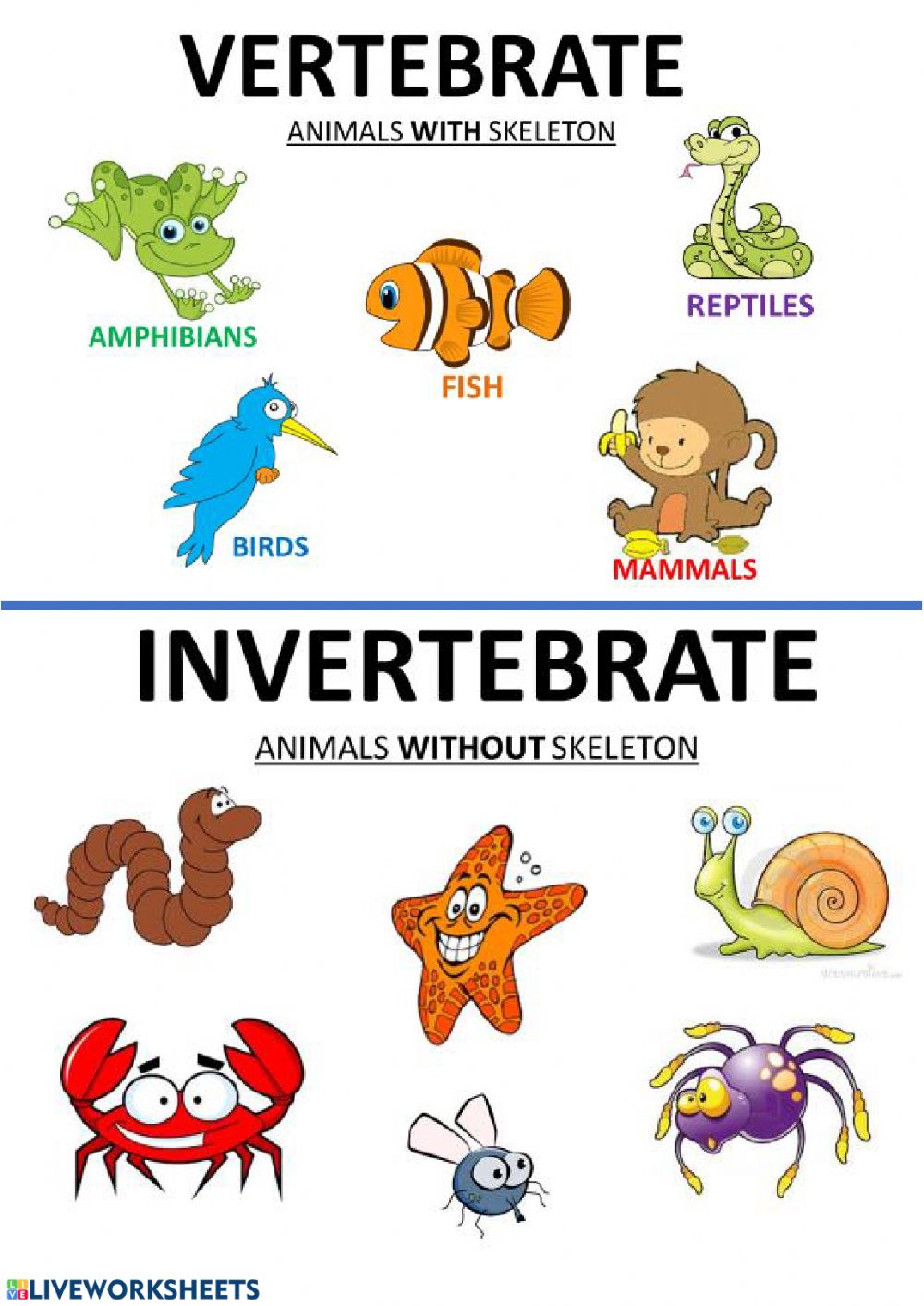 Printable Invertebrate Worksheets