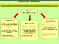 5 zmysłów - Klasa 8 - Quiz