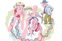 mutação genética Flashcards - Questionário