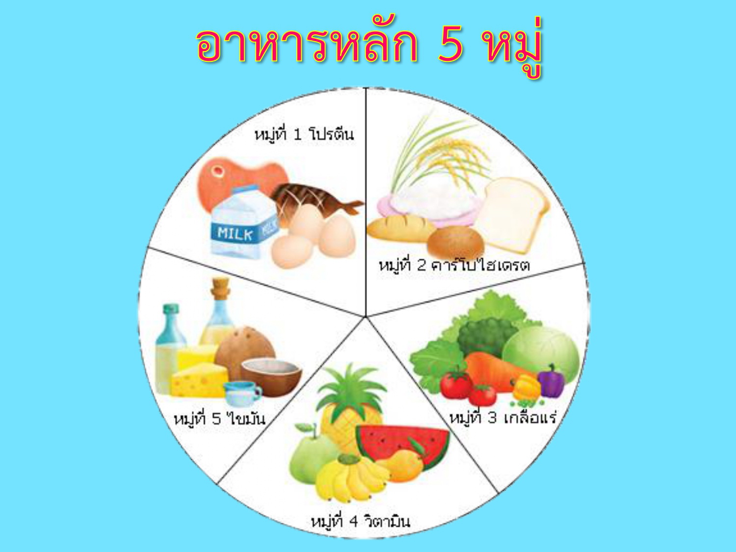 เนื้อเยื่อ - ระดับชั้น 9 - Quizizz