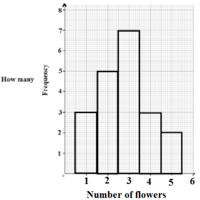 Histogram - Kelas 9 - Kuis