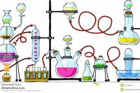 chemical equilibrium - Class 6 - Quizizz