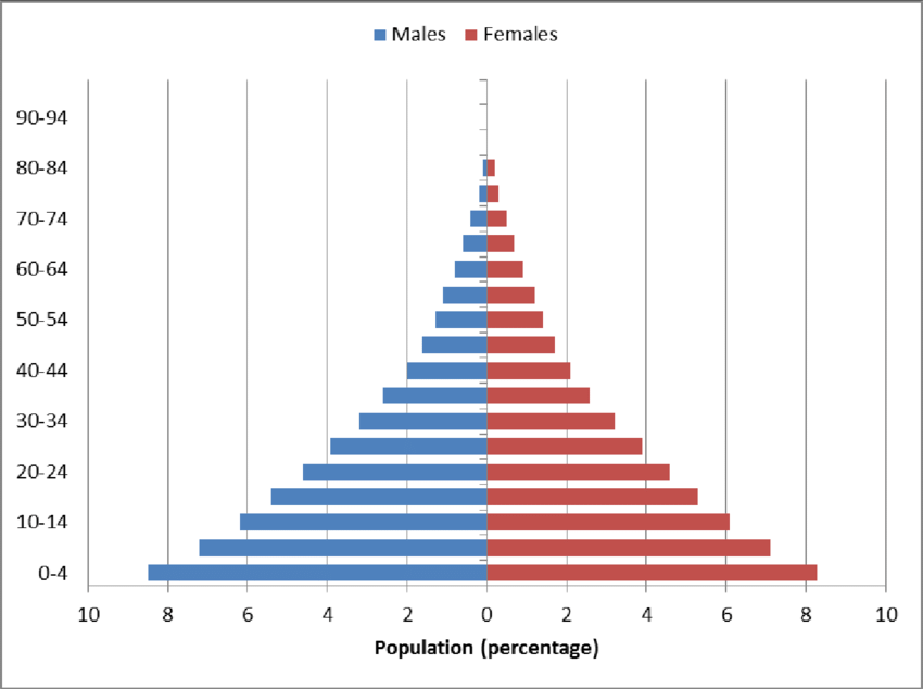 Population Pyramids Worksheet | Geography - Quizizz