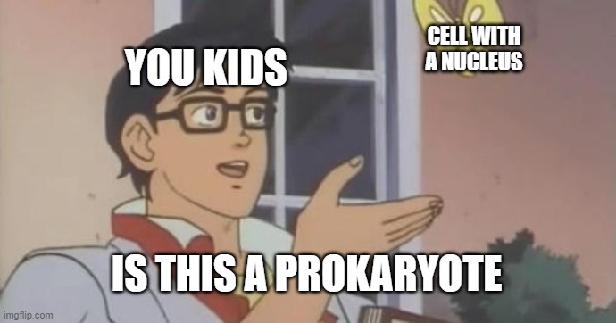 prokariota dan eukariota - Kelas 7 - Kuis