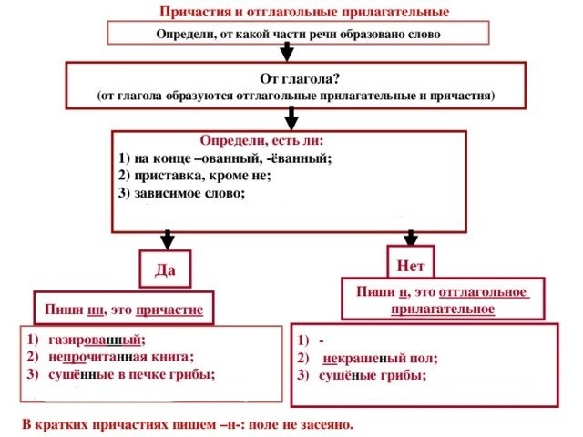 краткие причастия и краткие отглагольные прилагательные