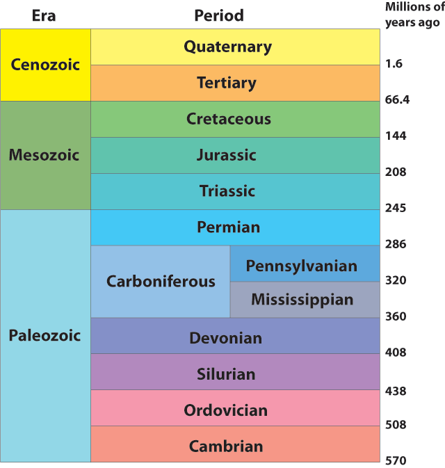 Geological Time Scale Review | Science Quiz - Quizizz