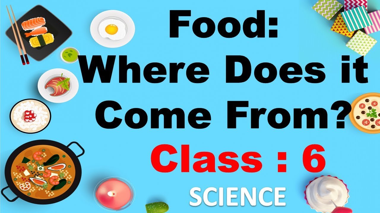Food: Where does it come from?