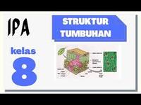 struktur dan replikasi DNA - Kelas 1 - Kuis