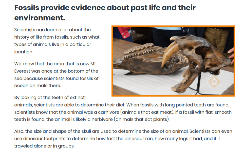 Fossils | Science - Quizizz