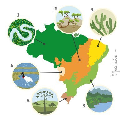 Domínios morfoclimáticos brasileiro worksheet