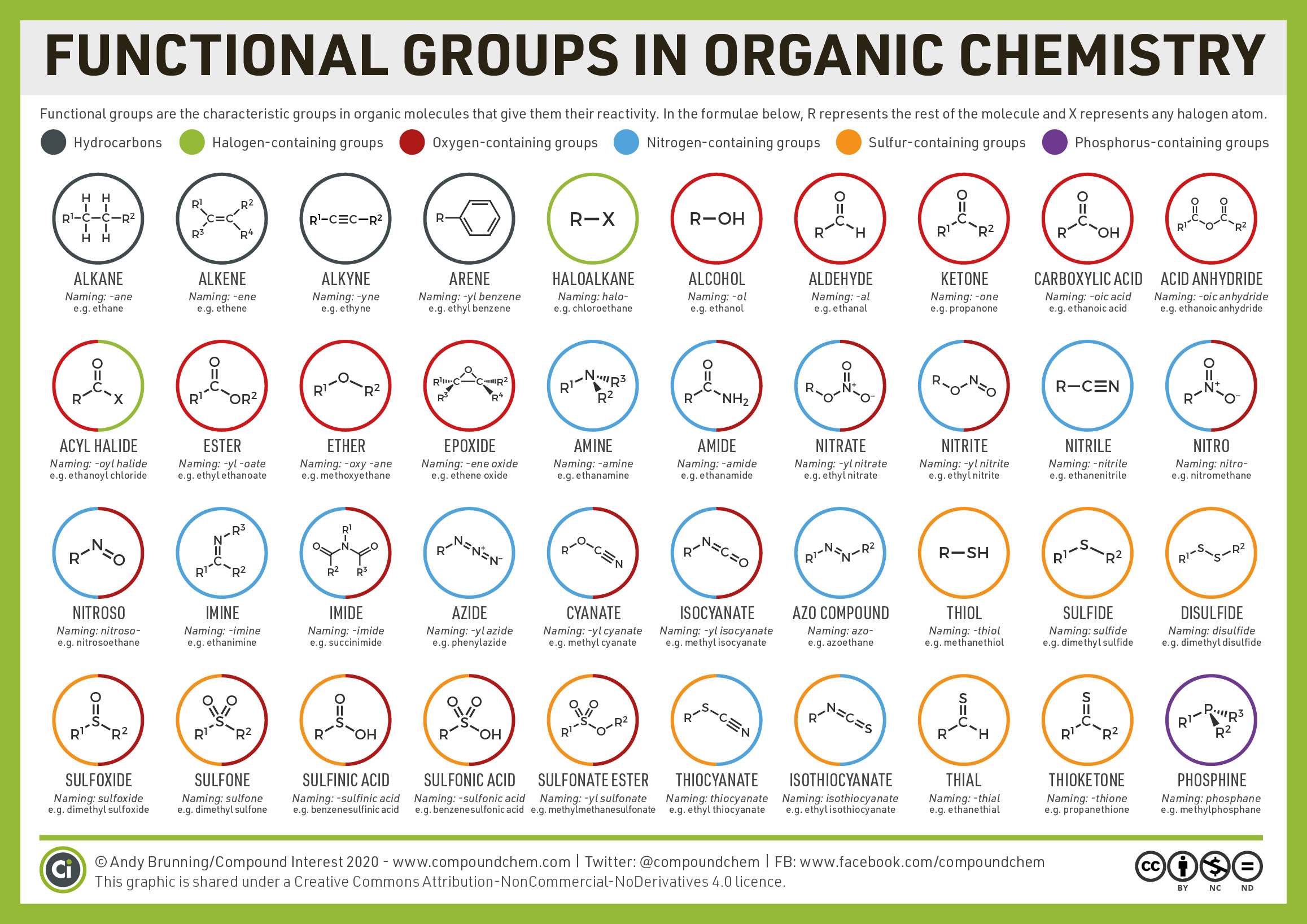 alkanes cycloalkanes and functional groups - Class 10 - Quizizz