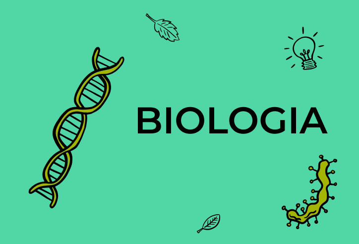 biologia roślin - Klasa 6 - Quiz