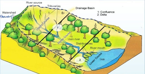 Drainage | Geography - Quizizz