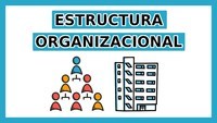 Estrutura do Ensaio Informativo Flashcards - Questionário