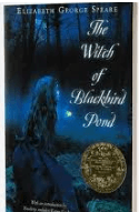 "The Witch of Blackbird Pond" (Chapters 1-5)