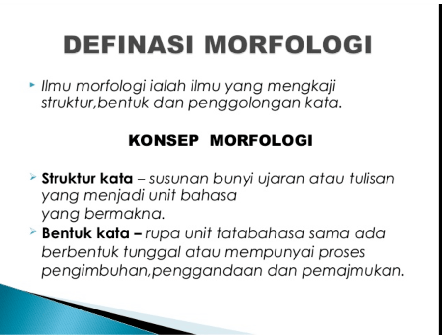 Morfologi Contoh Soalan  MichaeloYates