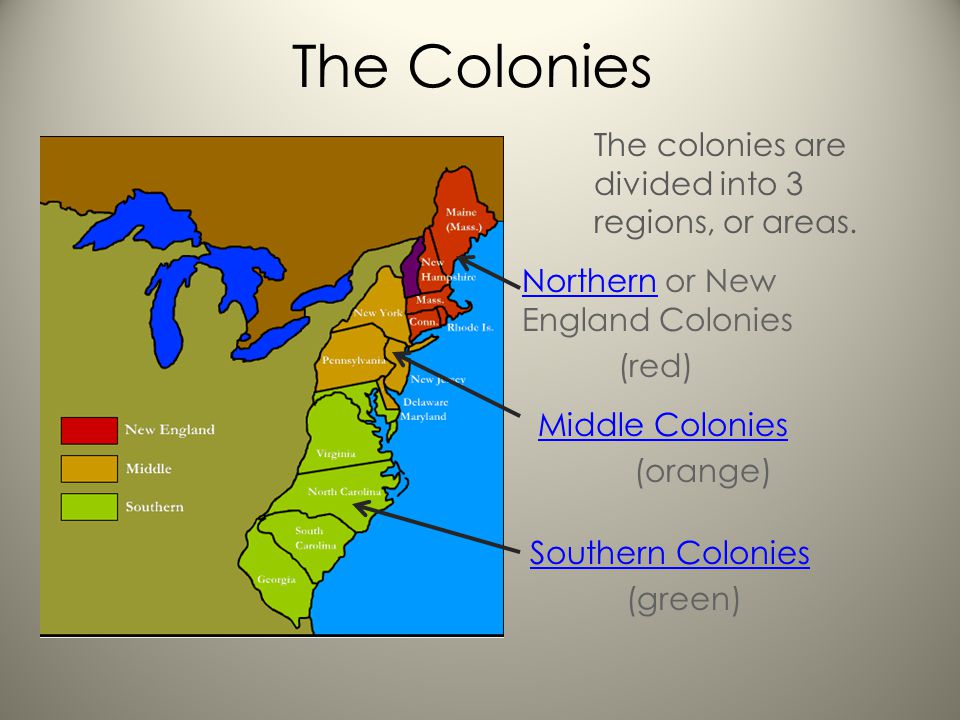 Southern Colonies | Social Studies Quiz - Quizizz