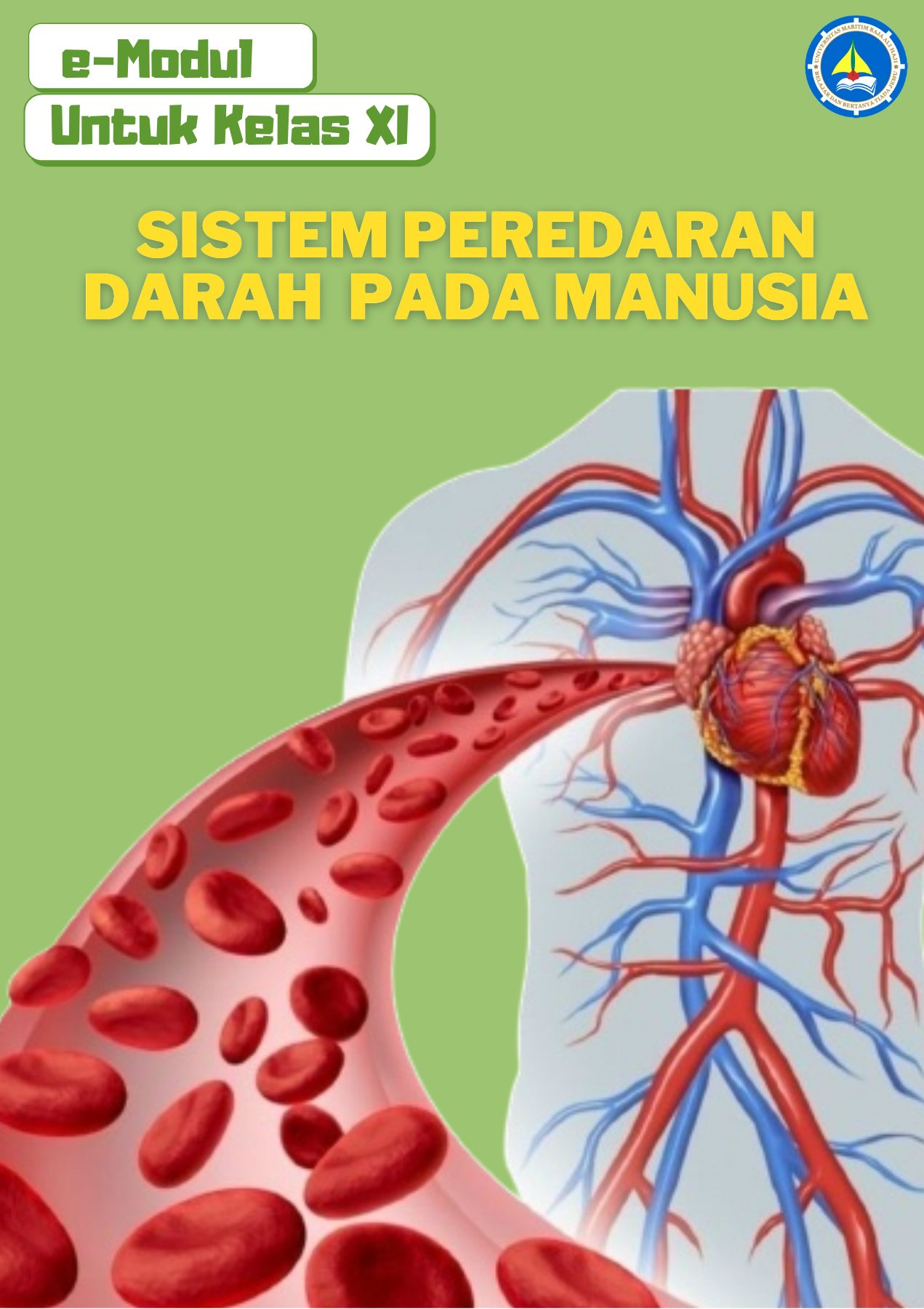 sistem peredaran darah dan pernapasan - Kelas 8 - Kuis