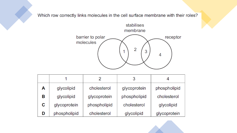 Unit 4- Cell Membranes & Transport | Biology - Quizizz