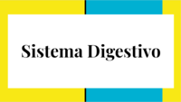 os sistemas digestivo e excretor - Série 2 - Questionário