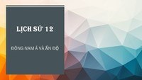 cầu và độ co giãn của giá - Lớp 11 - Quizizz