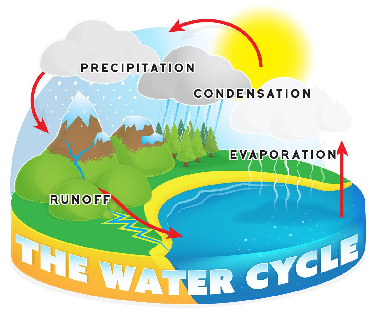 the-water-cycle-earth-sciences-quiz-quizizz