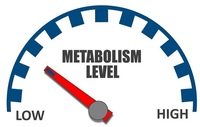 metabolizm - Klasa 1 - Quiz