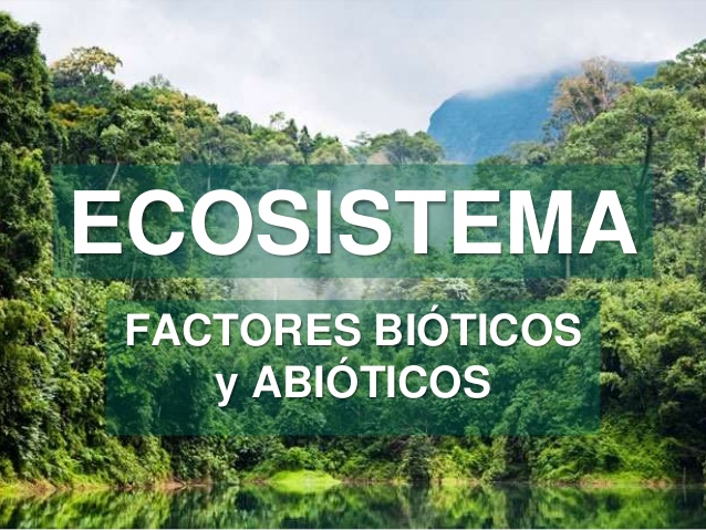 ECOSISTEMA | Quizizz