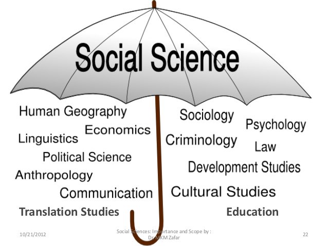 branches-of-social-sciences-quizizz