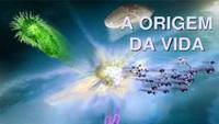 história da vida na terra - Série 8 - Questionário