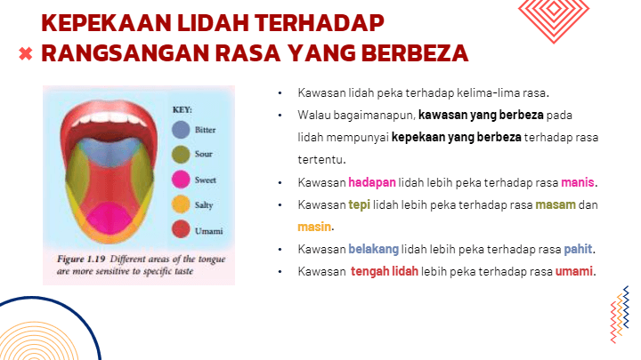 Sains Tingkatan 3 Bab 1 2021 Science Quizizz