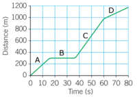 simple harmonic motion - Year 8 - Quizizz