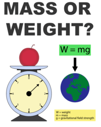 Measuring Weight - Year 12 - Quizizz
