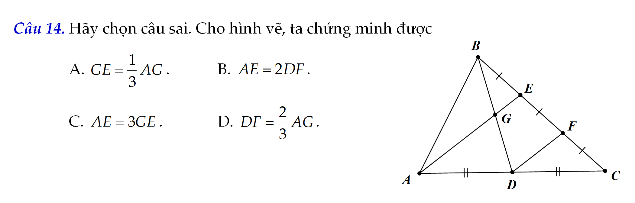 Phân loại hình dạng - Lớp 8 - Quizizz