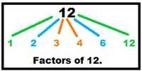 Number Theory - Grade 4 - Quizizz