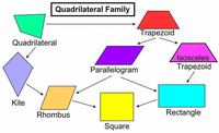 regular and irregular polygons - Grade 11 - Quizizz