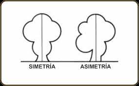 Simetría - Grado 4 - Quizizz