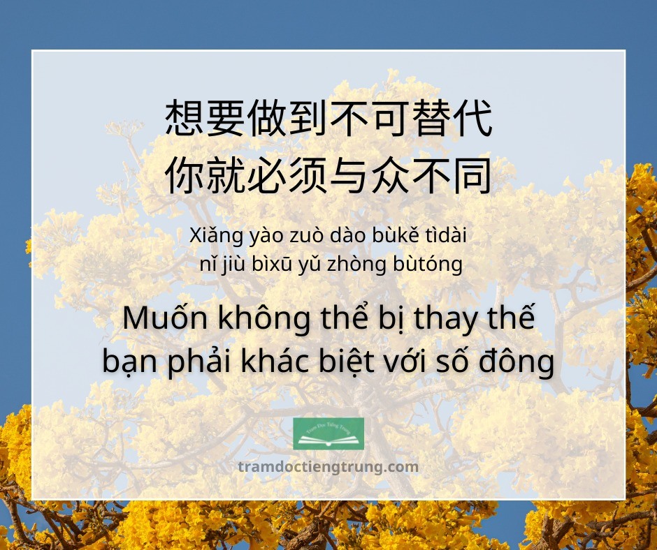 phân từ Flashcards - Quizizz