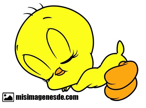 piolin enamorado