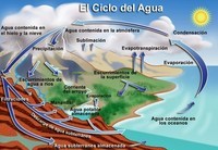 movimientos del agua del océano - Grado 10 - Quizizz