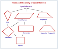 Quadrilaterals - Year 8 - Quizizz